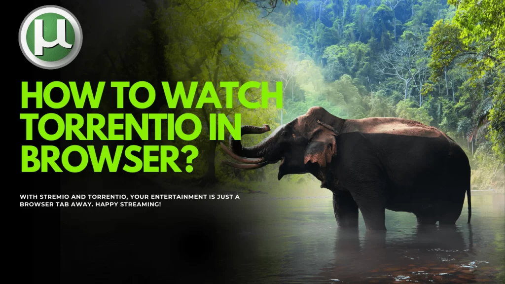 How to Watch Torrentio in Browser